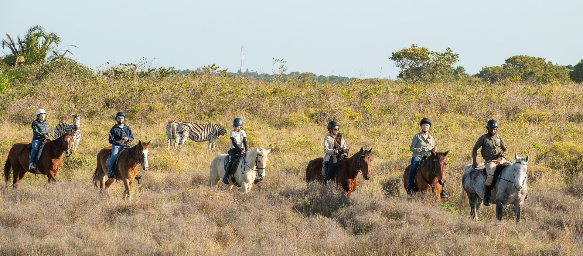 Bhangazi Horse Safaris - Image 3