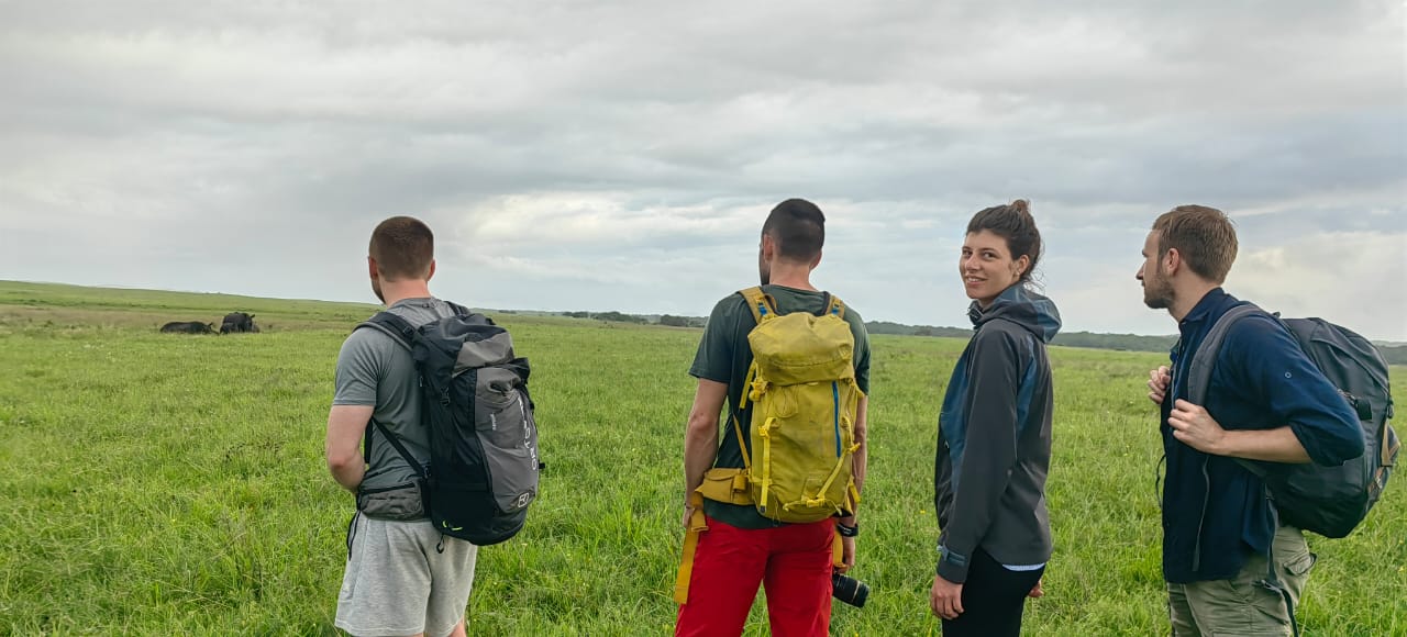 St Lucia Bush Walks - Image 2