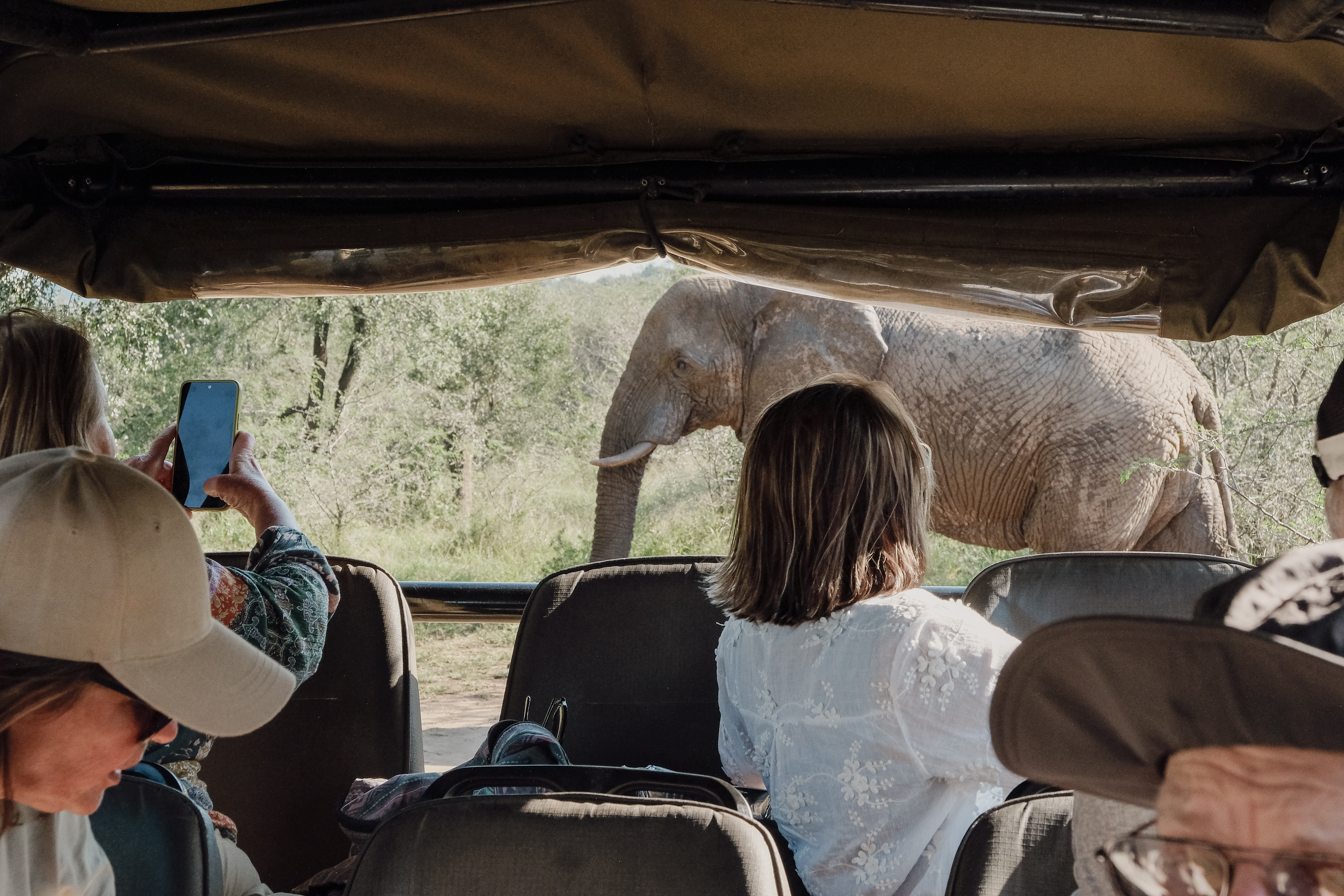 Safari for Six - Image 2