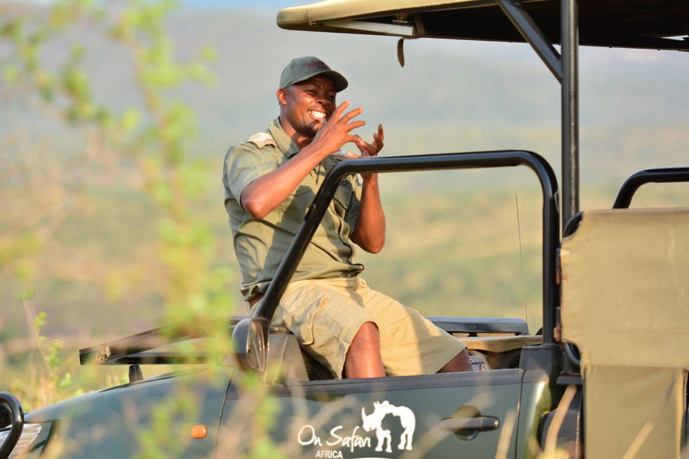 On Safari Africa  - Image 2