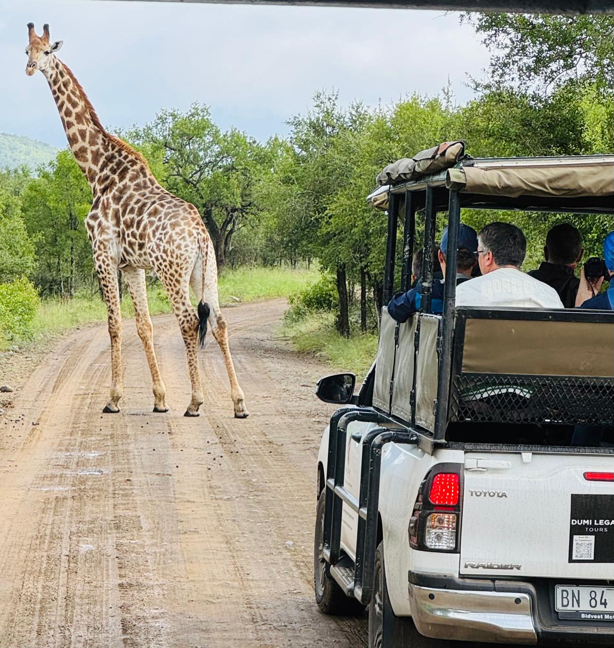 Dumi Legacy Tours - Image 4