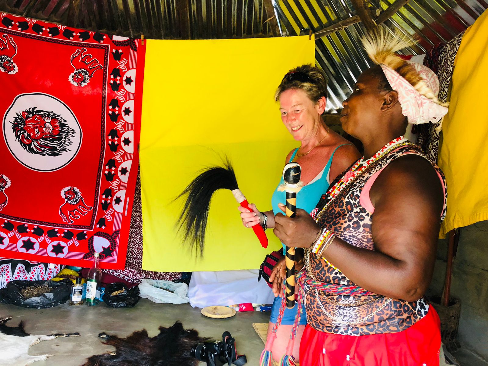 Theo Tours and Culture - Image 2