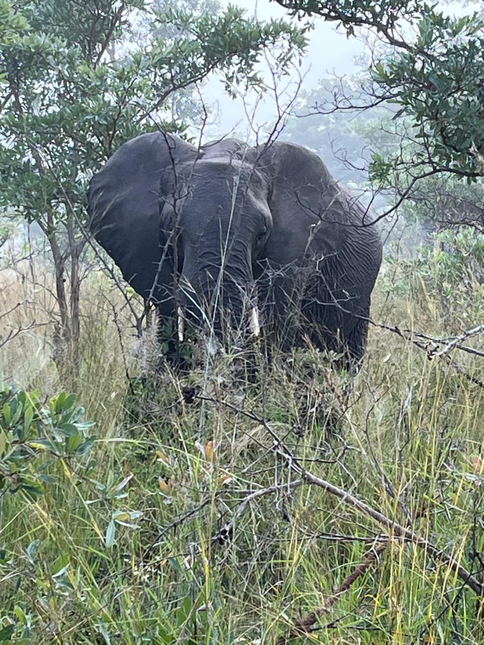 Shonolanga Tours - Image 5