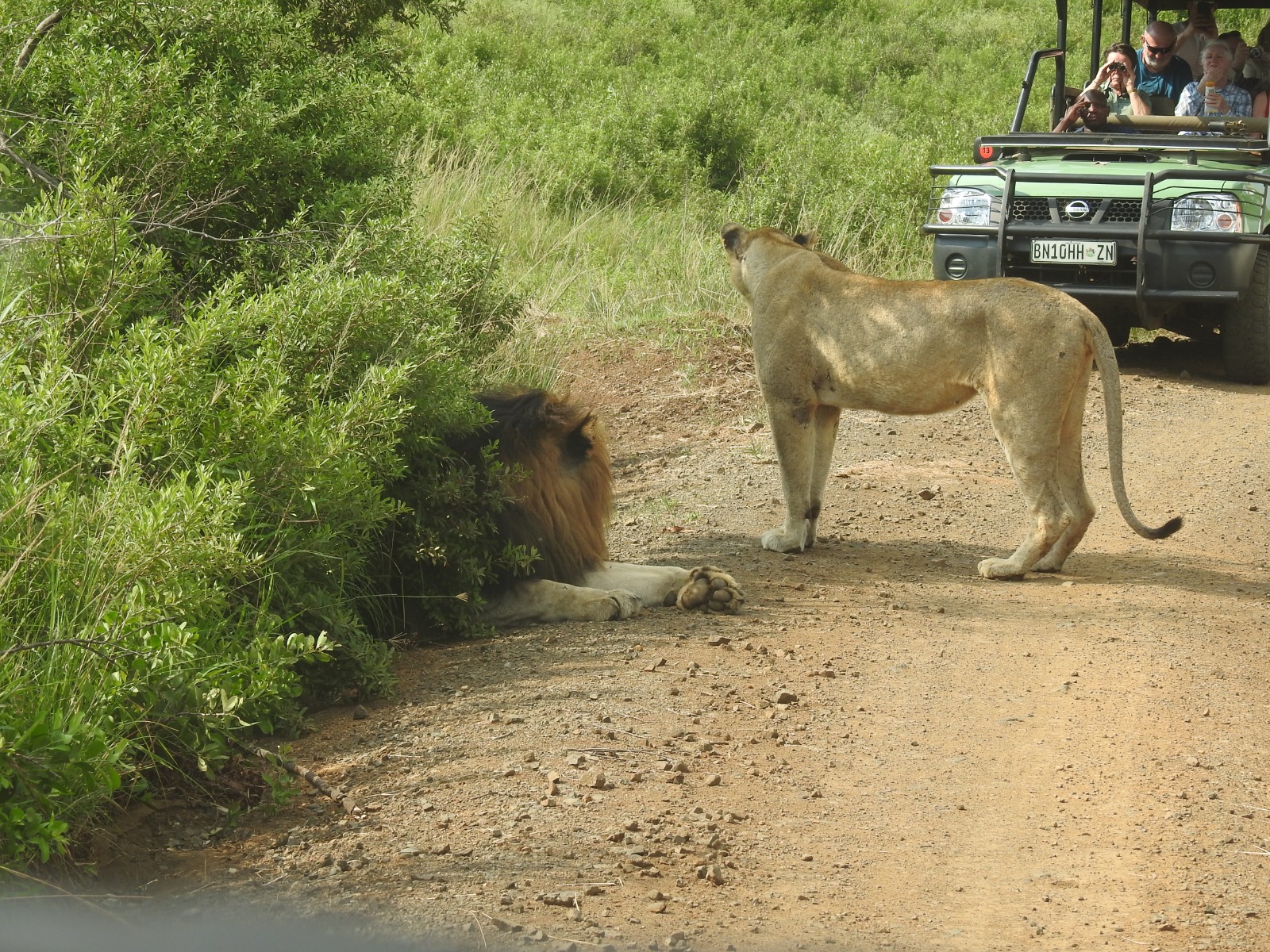 Bushbaby Safari's - Image 5