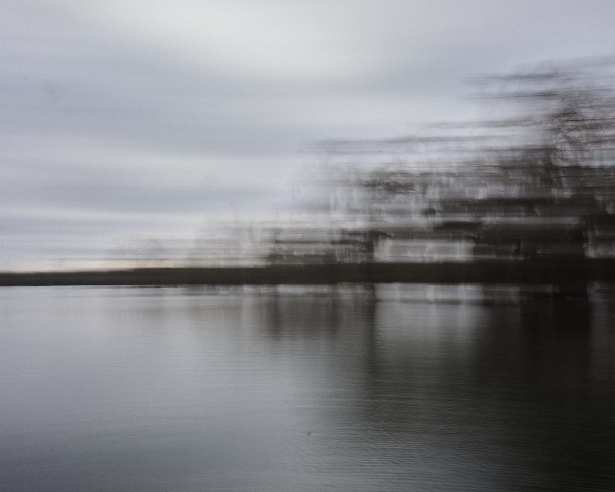 Ecotones III #1