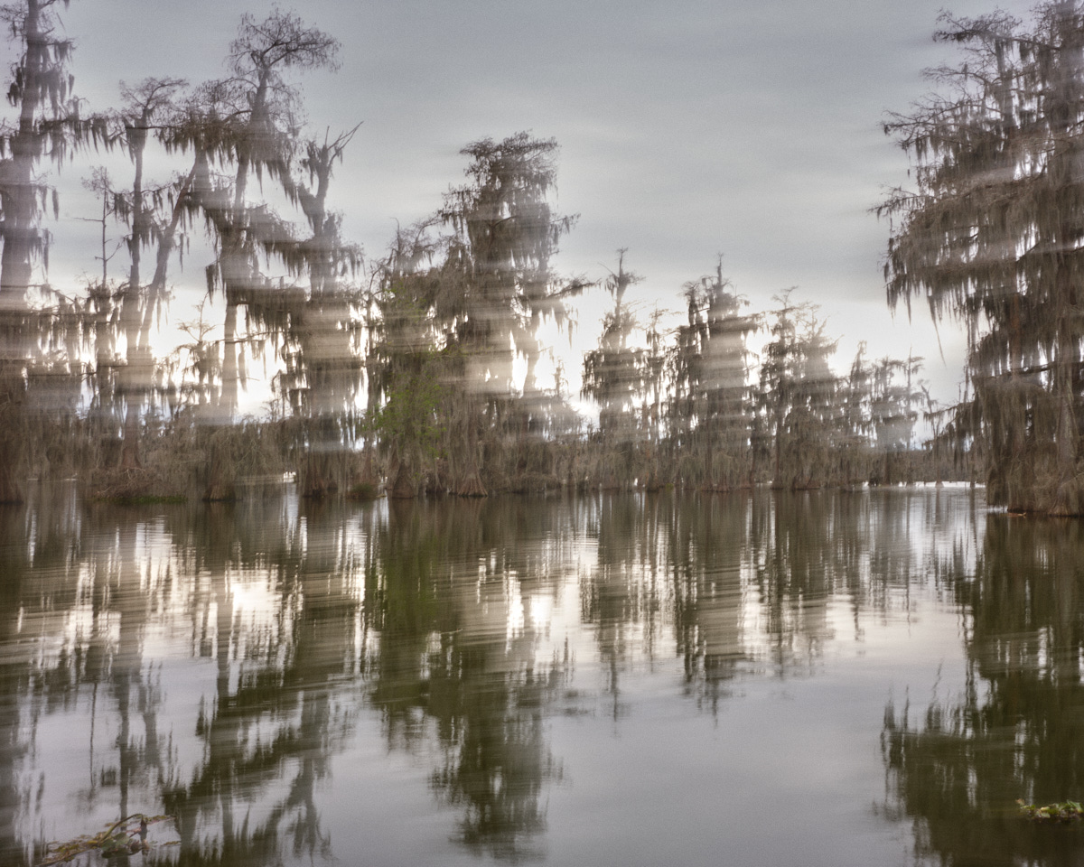 Ecotones III #2