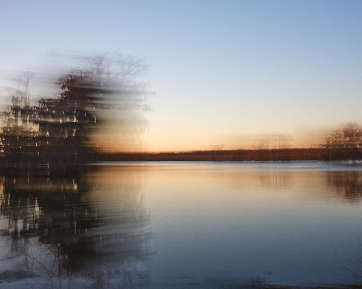 Ecotones III #6
