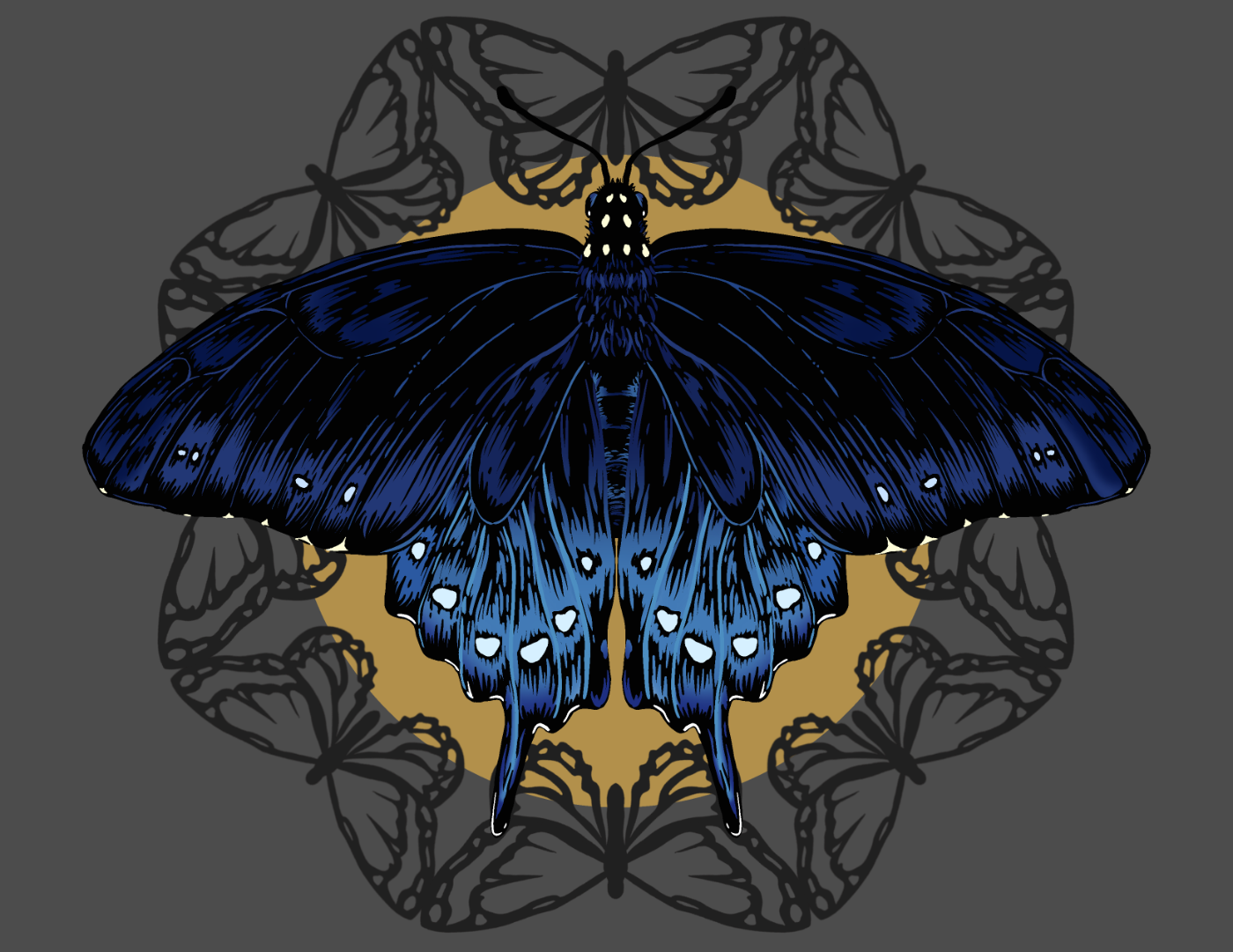 Artful Preservation: Pipevine Swallowtail