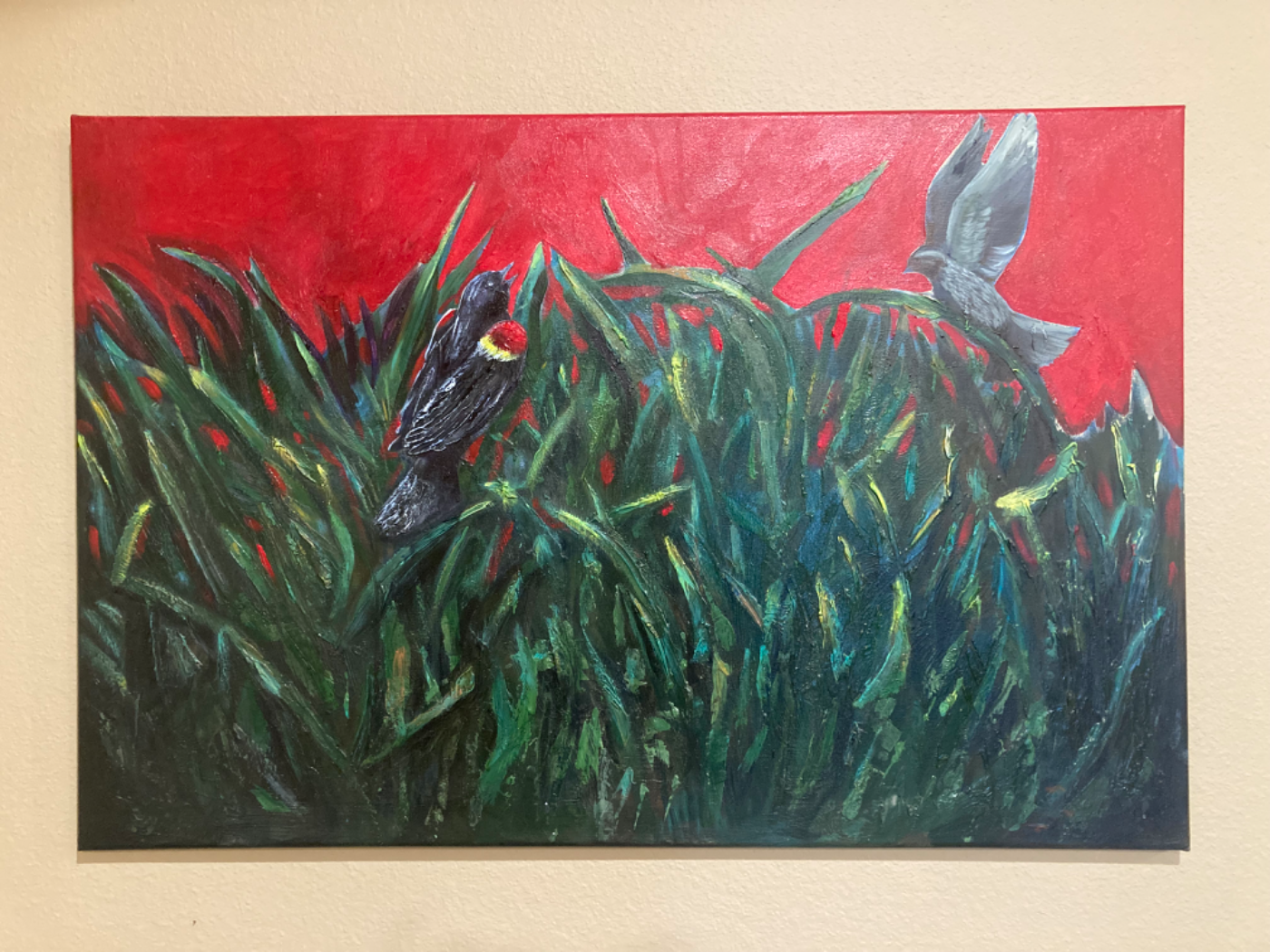 Red Winged Blackbirds