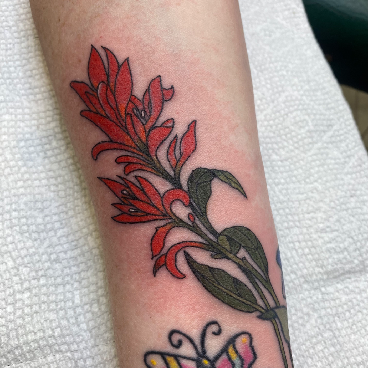 Firebush