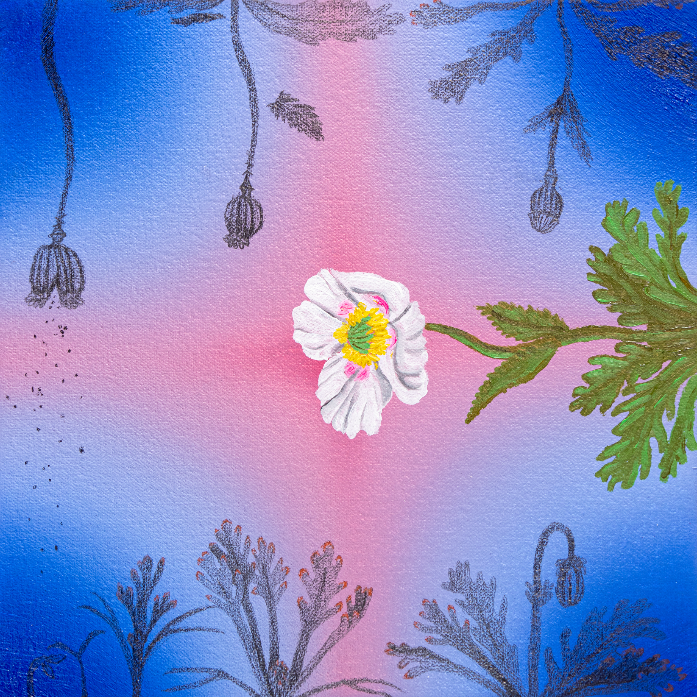 Making peace with rebirth