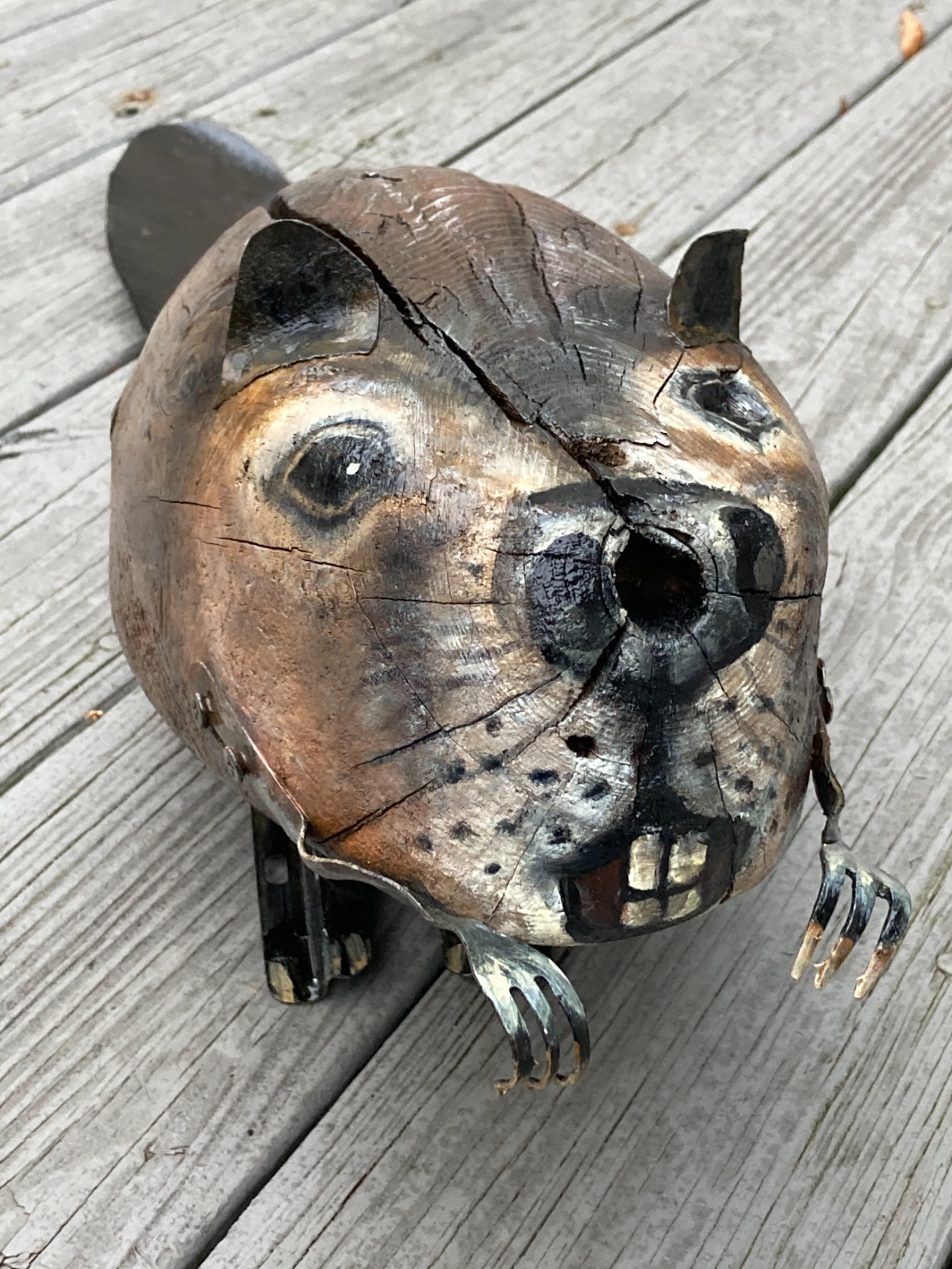 Beaver