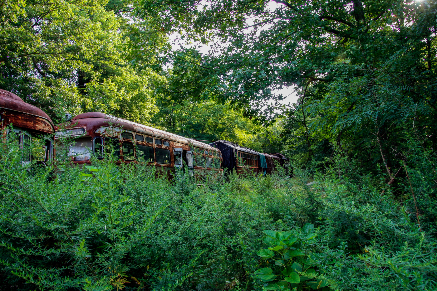 End Of The Line: A boneyard for Trolleys that operated in the 19th century