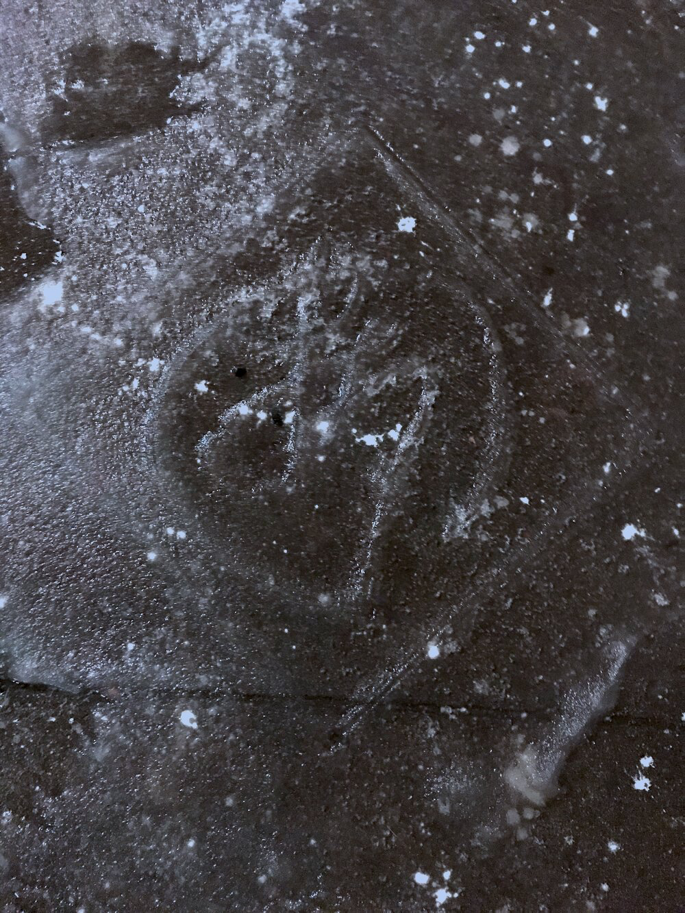 Chai(拆）on Snow