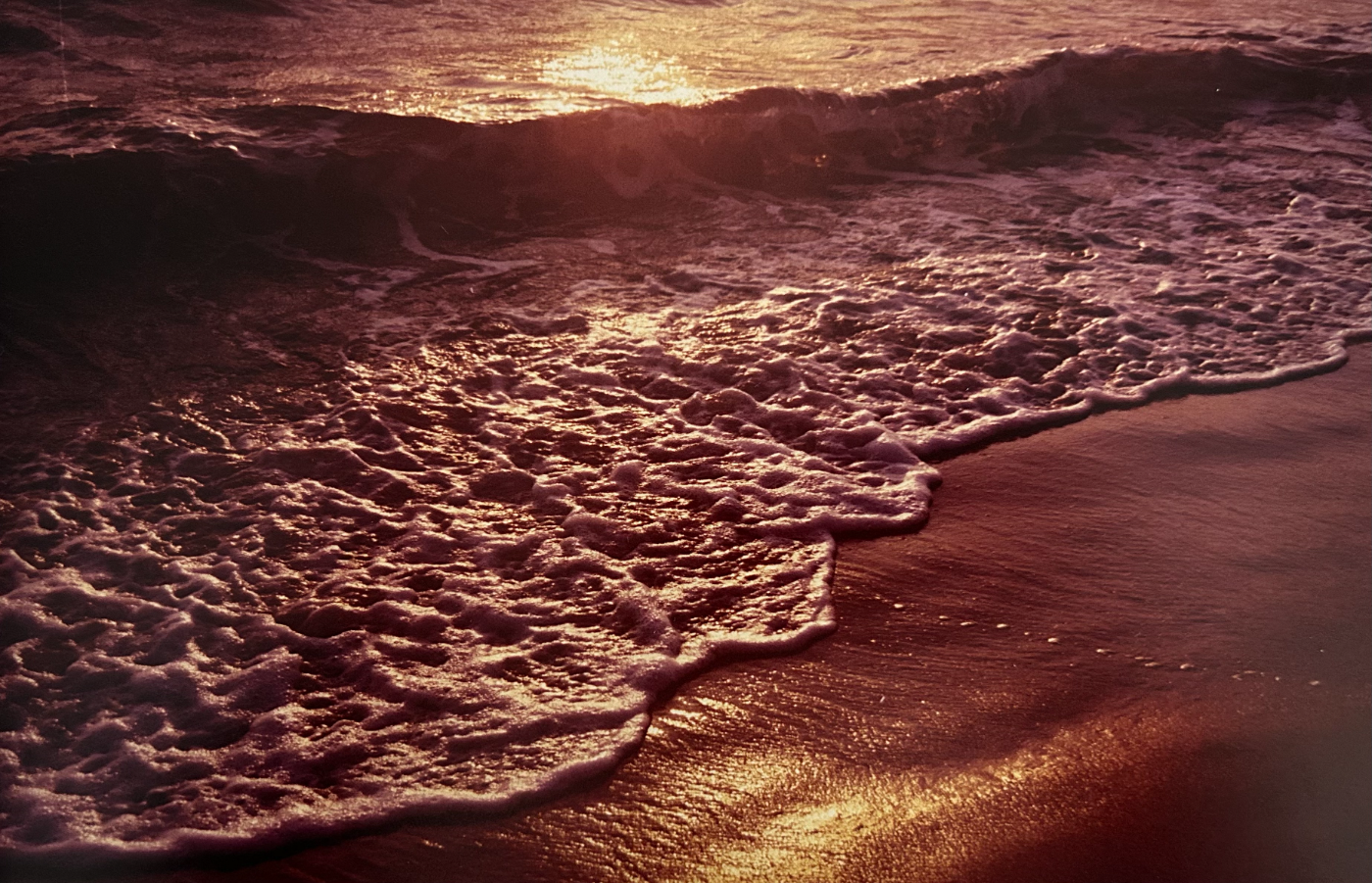 Orange Sea