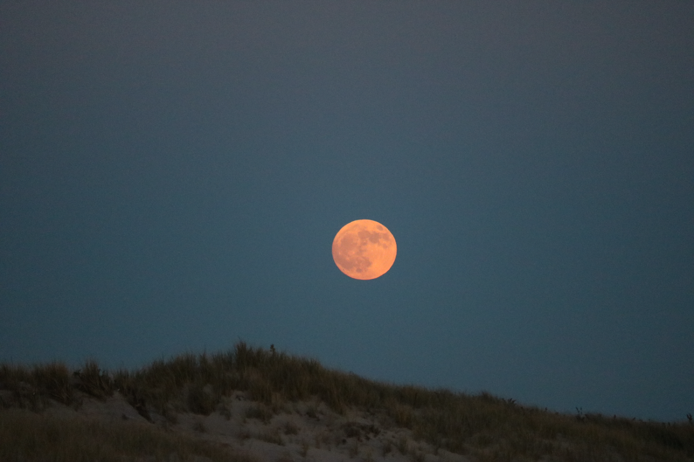 Blood Moon