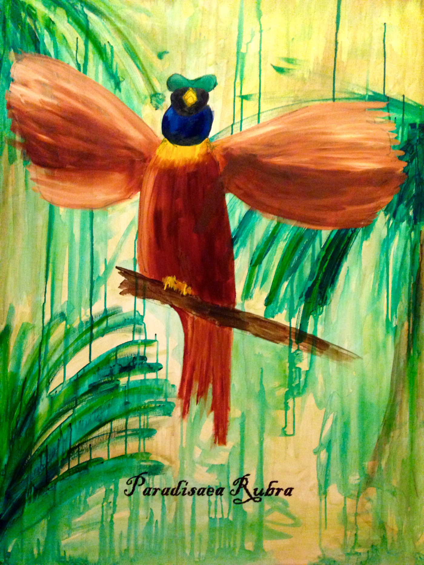 The Red Bird of Paradise