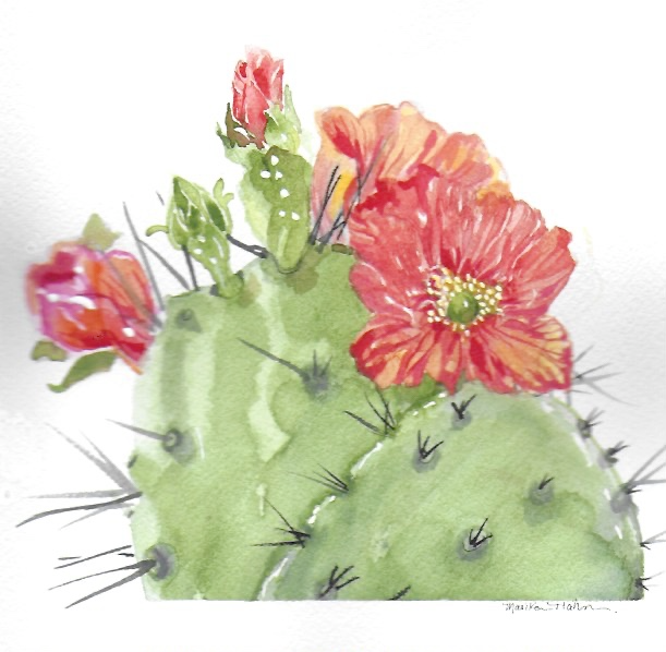 Cactus + Red Flowers