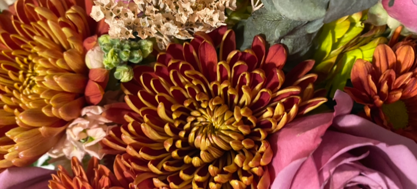 cover photo