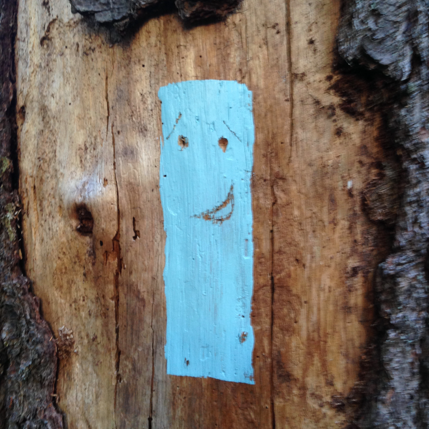 Happy Trails