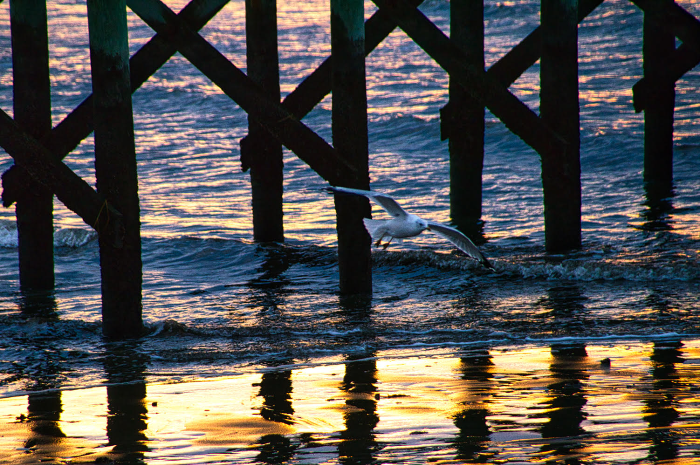 Morning Light