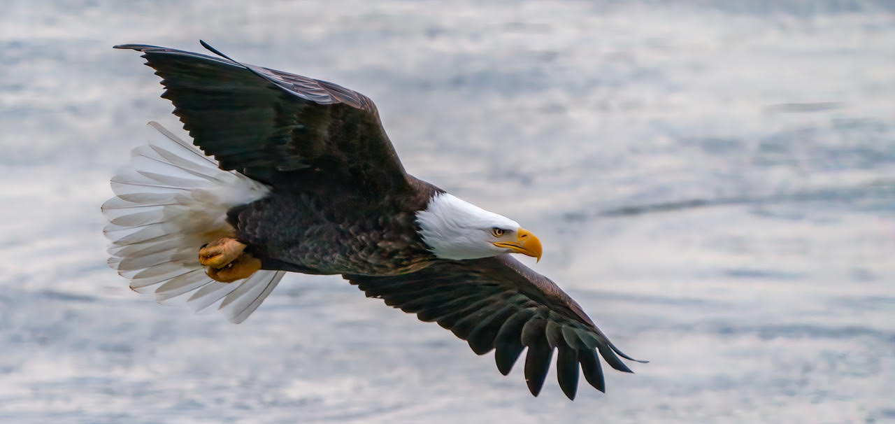 Soaring