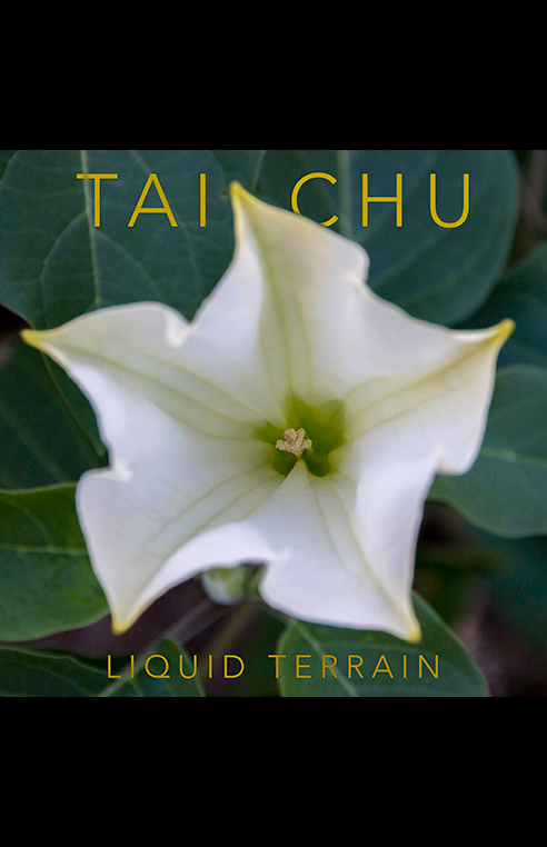Tai Chu Promo Cover