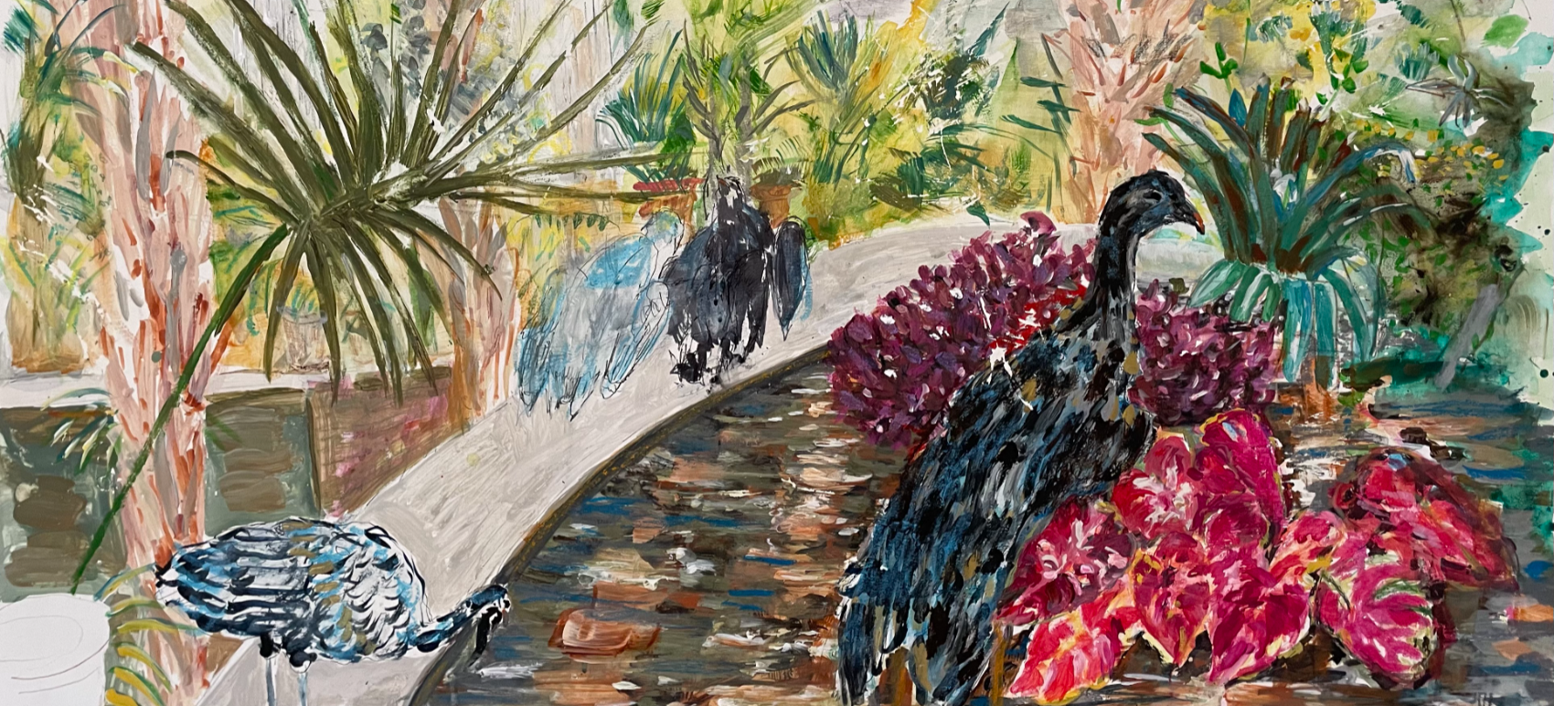 cover photo