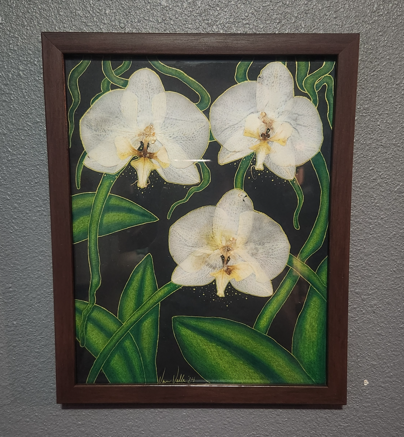 Orchid Familia