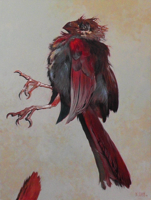 The Majesty of the Northern Cardinal