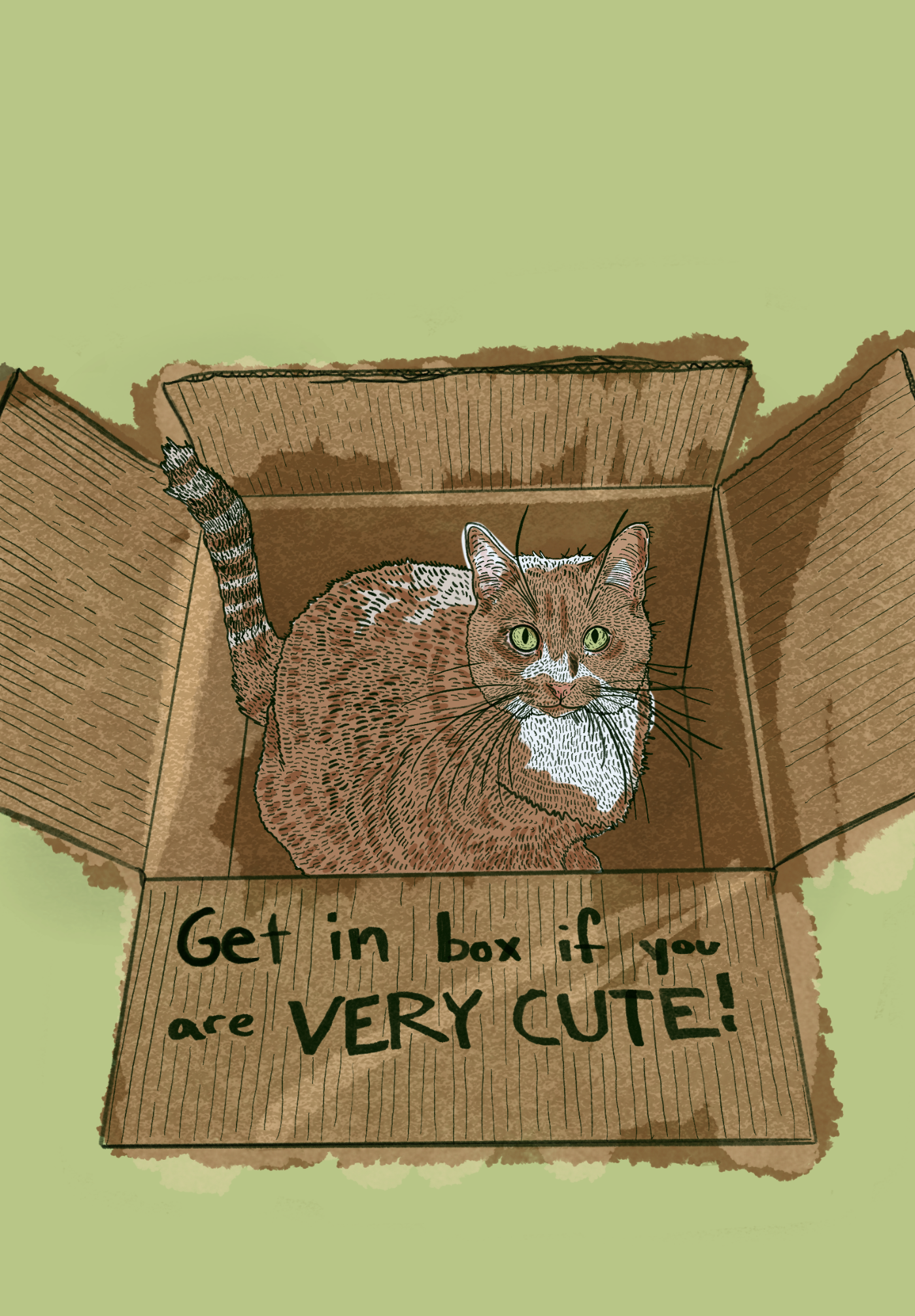 Pet Portrait Example.