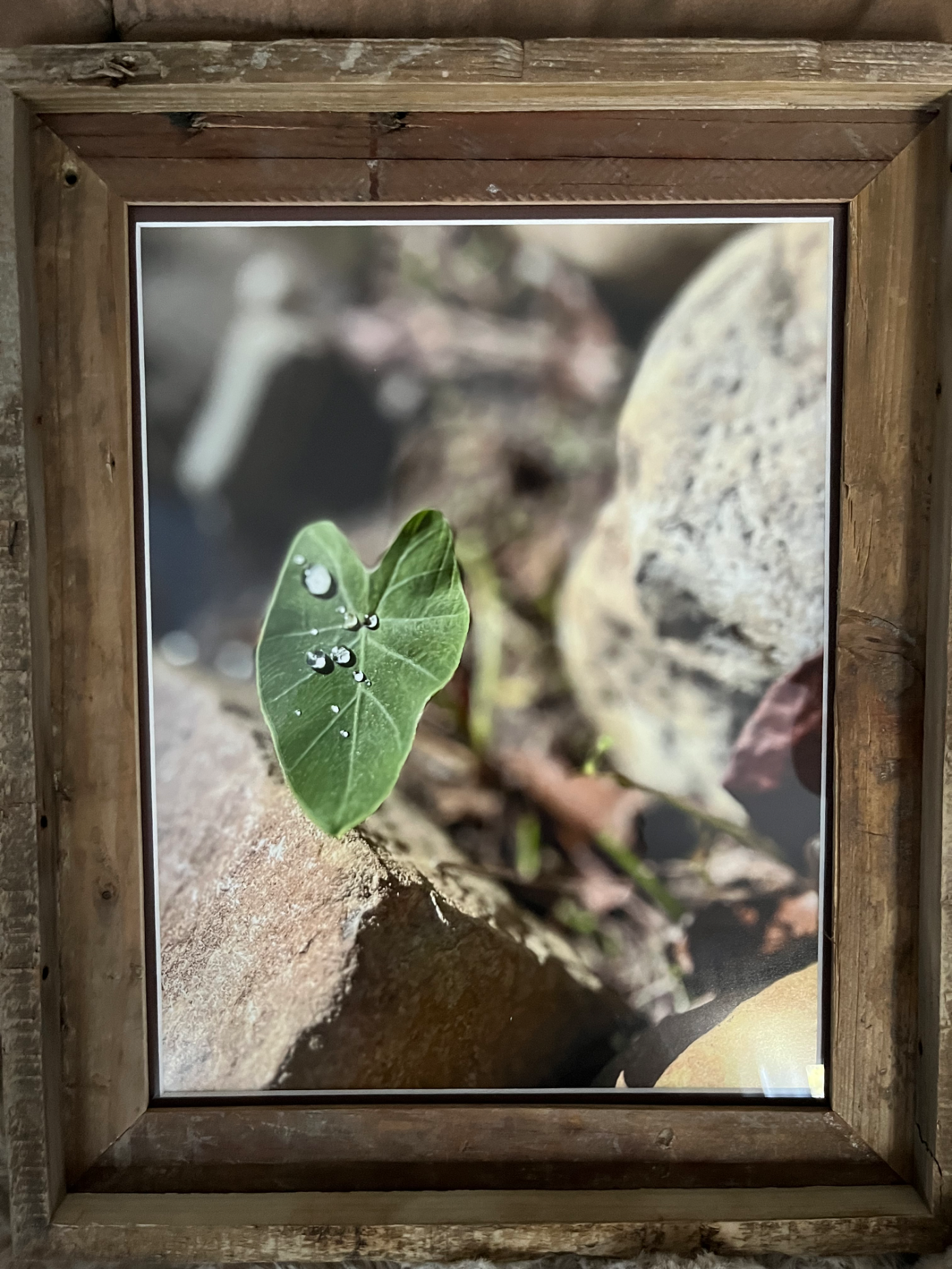 Between a Rock and a Hard Place