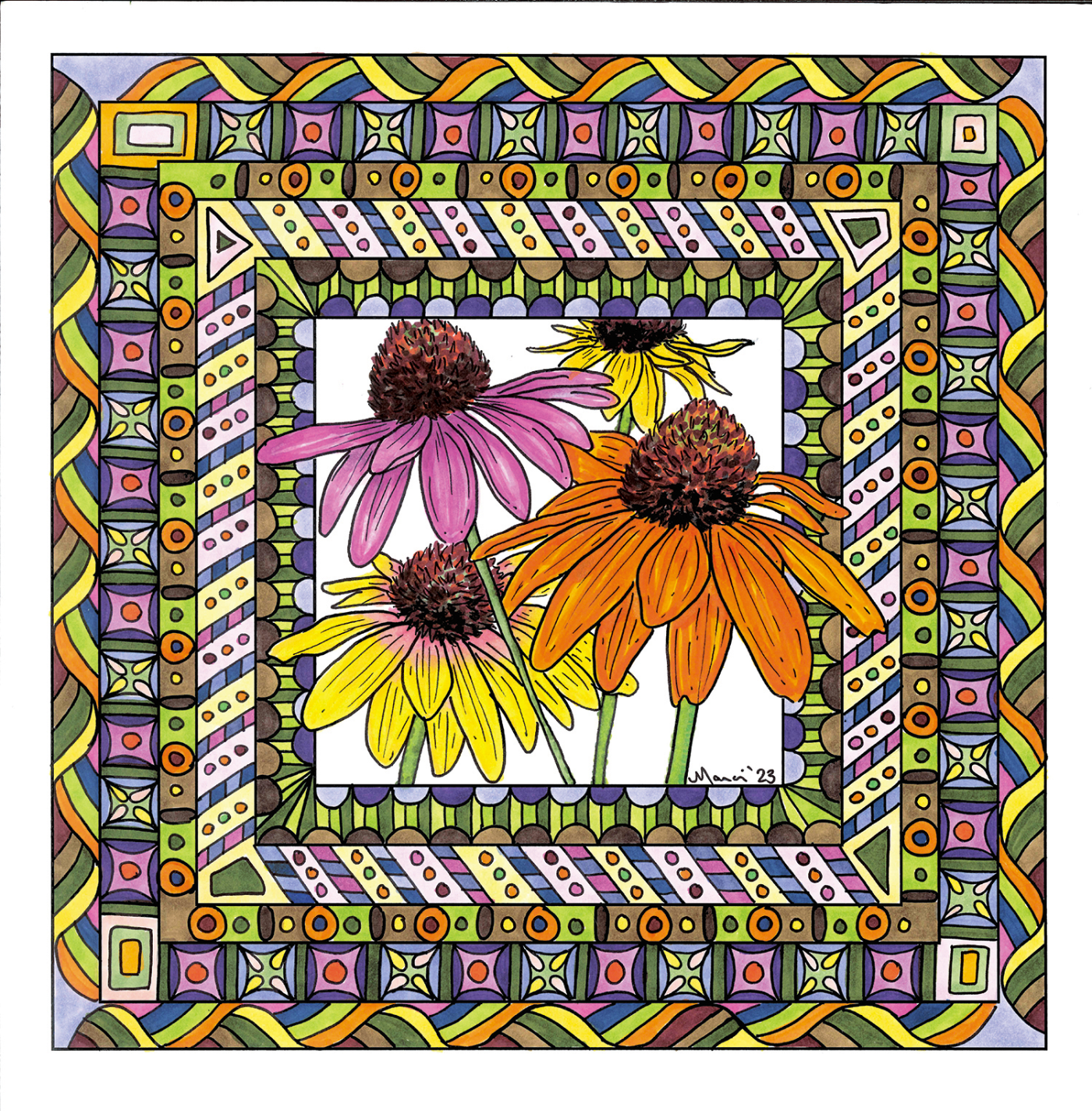 Cone Flowers