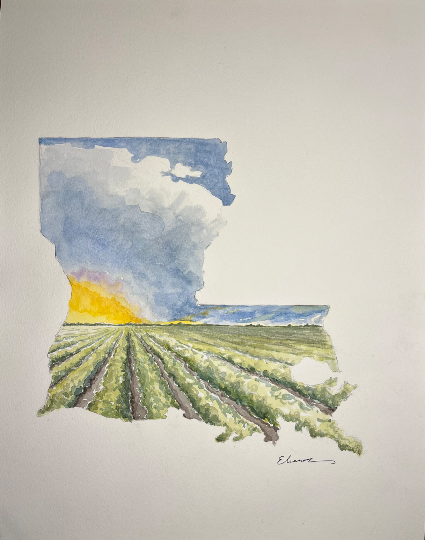 Soybeans at Sunset