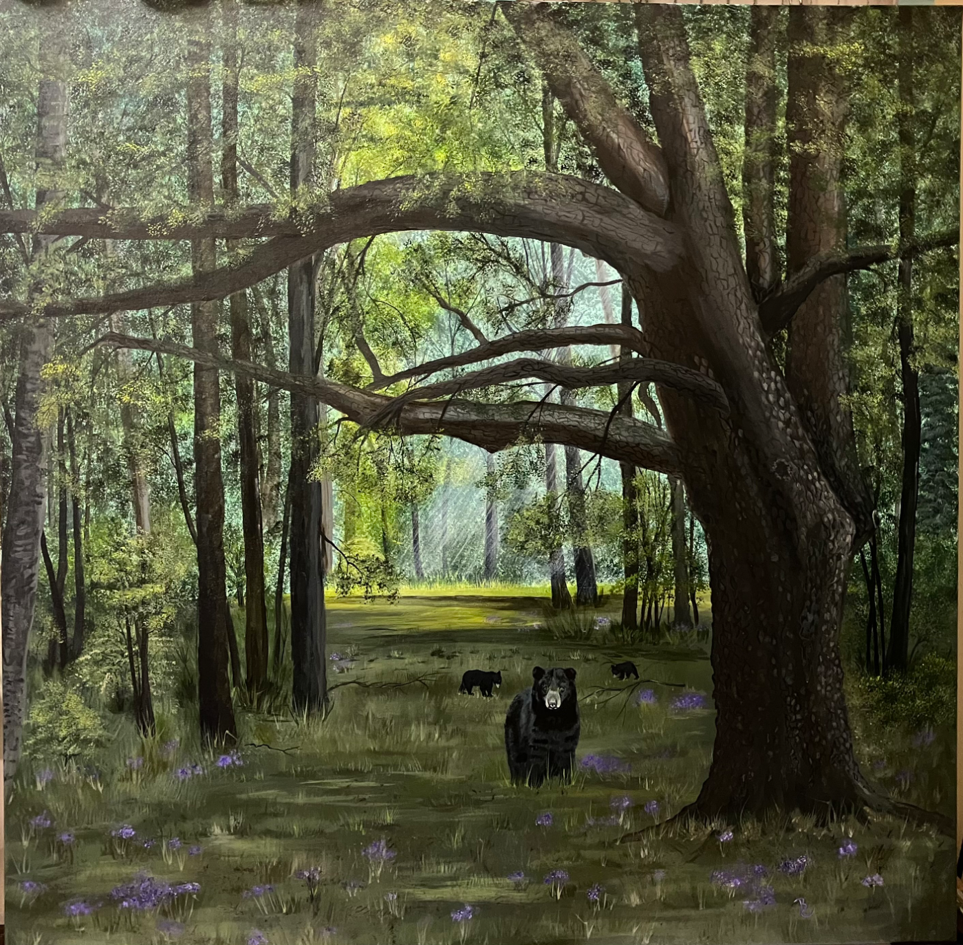 Louisiana Black Bears in Greenwood LA