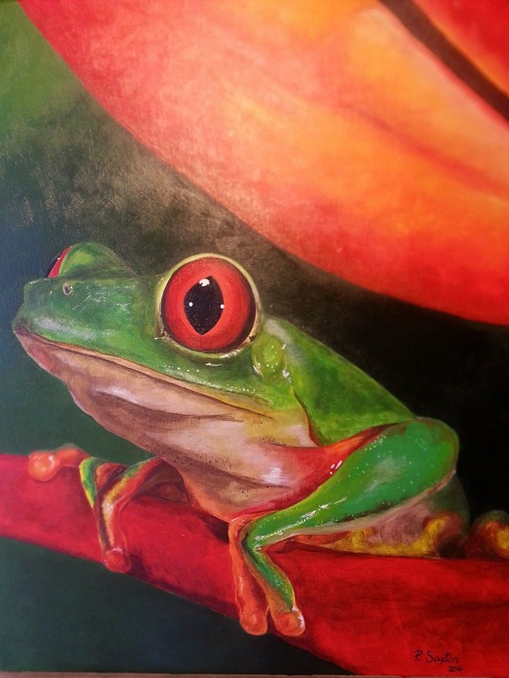 Colorato Raganalla