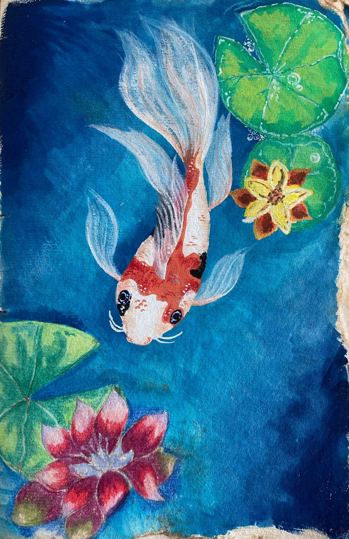 The Pond