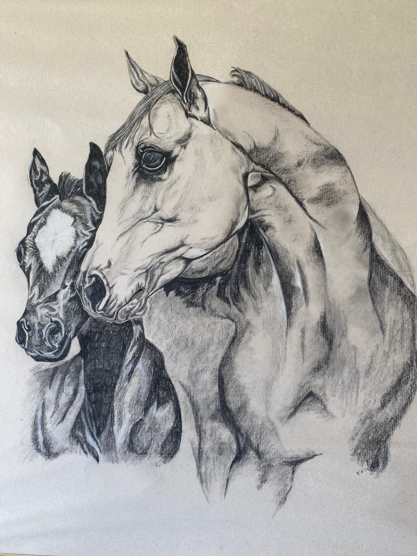 Mare and Foal