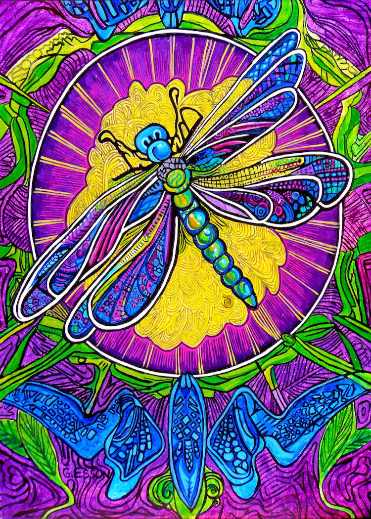 Iridiscent Dragonfly