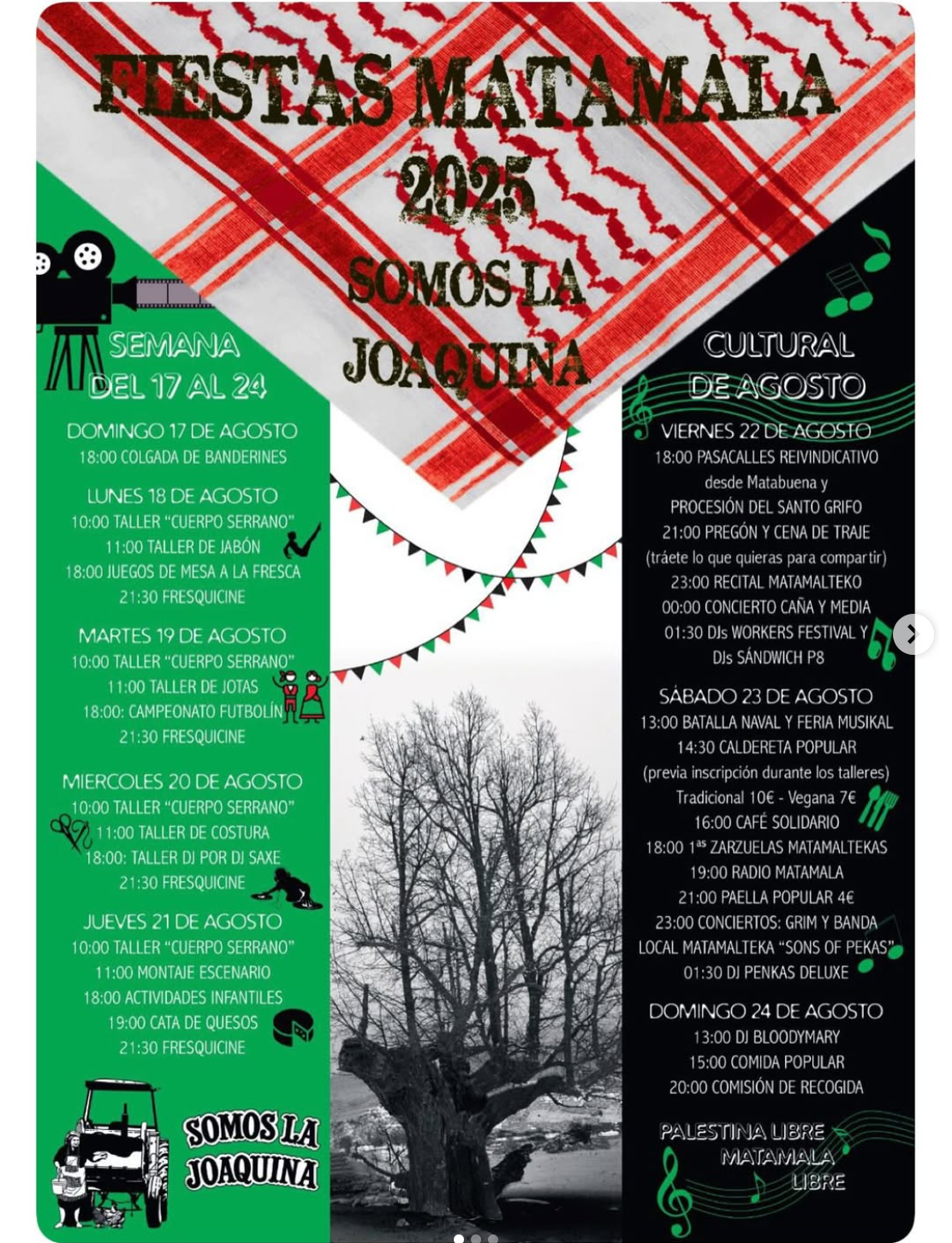FIESTAS DE MATAMALA