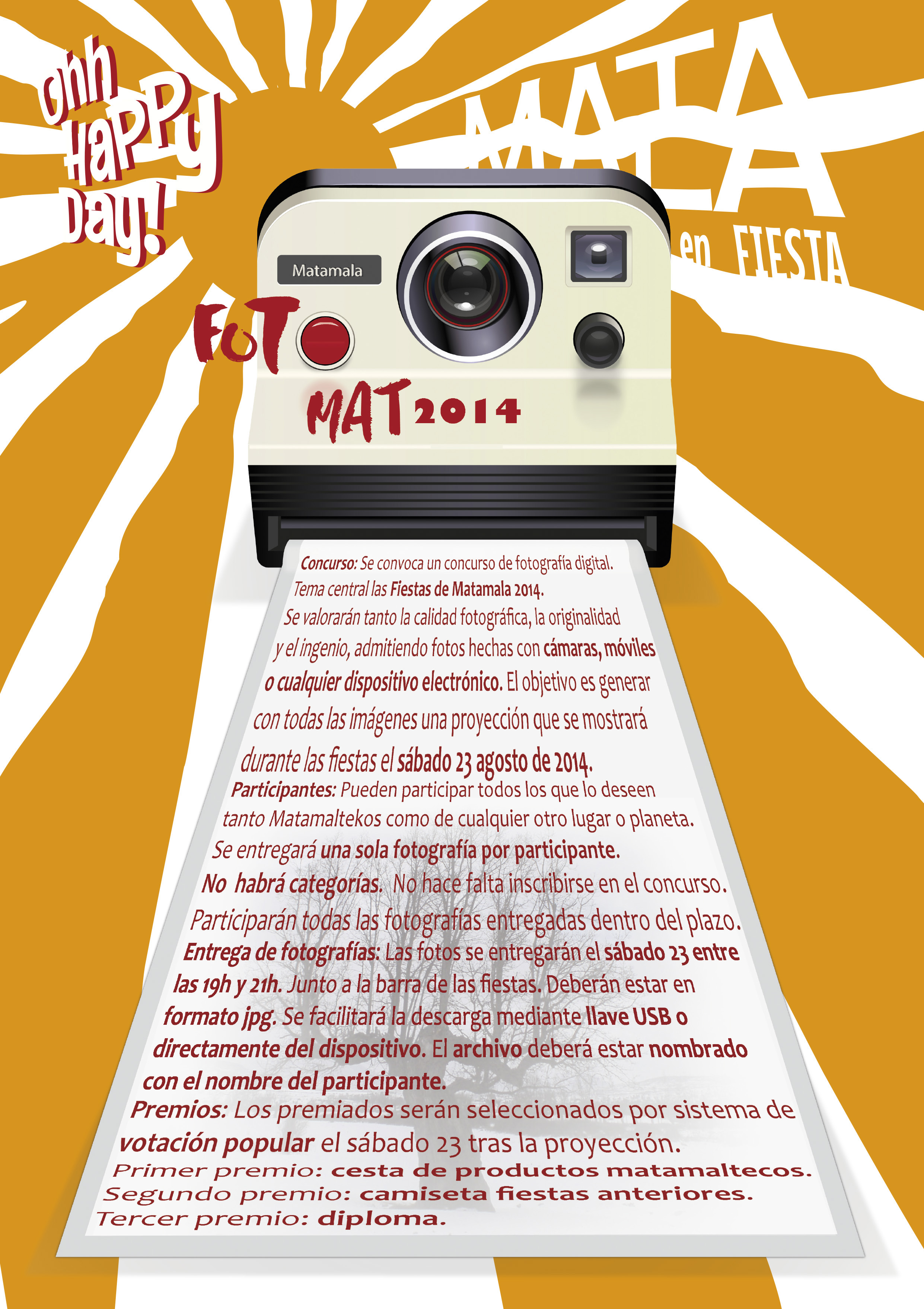 Cartel de fiestas 2014
