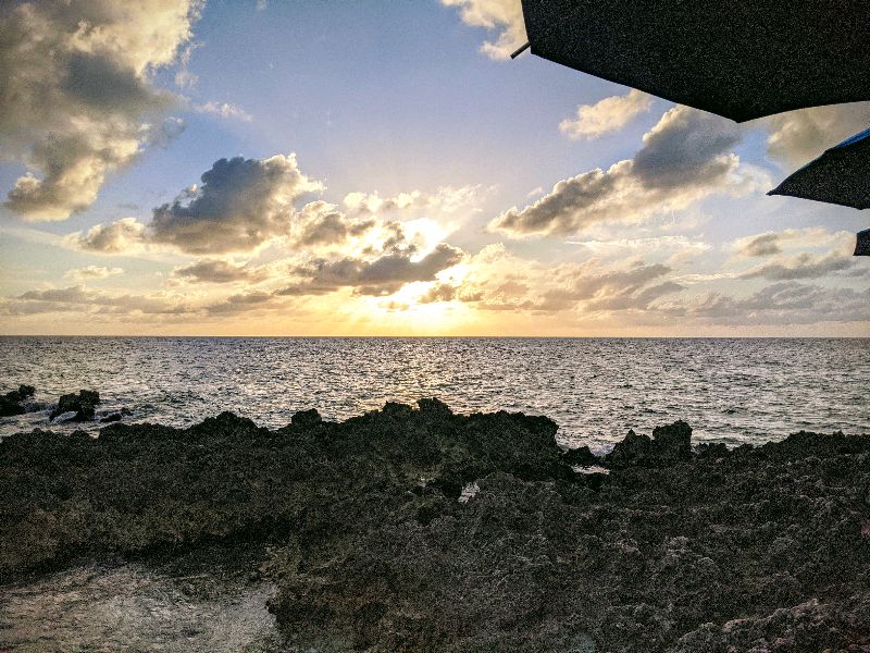 Turtle Reef
