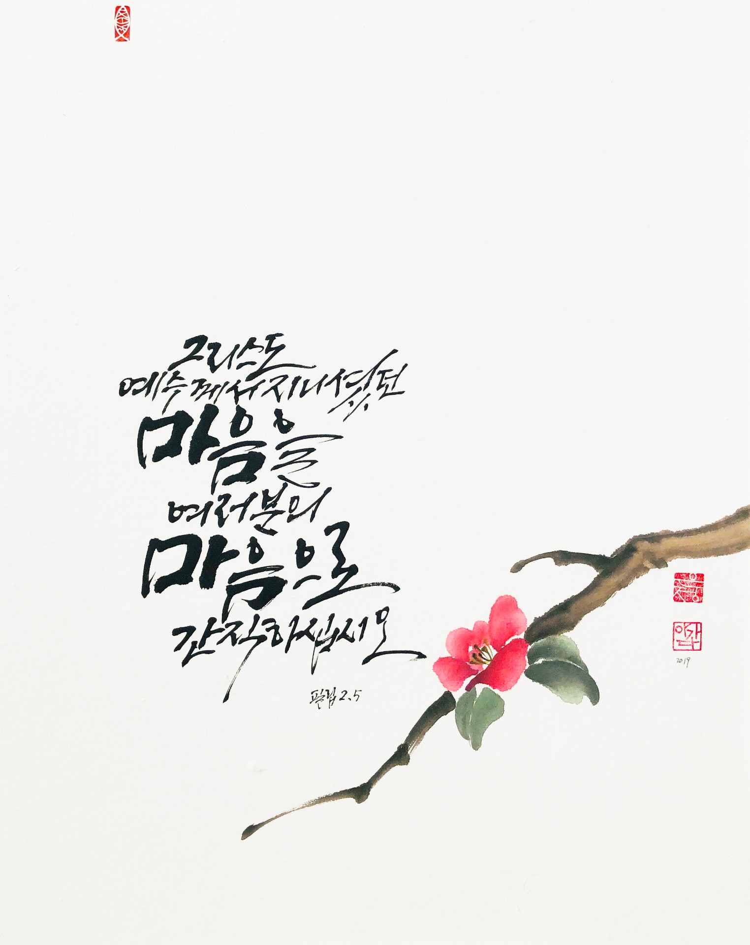 필리 2,5