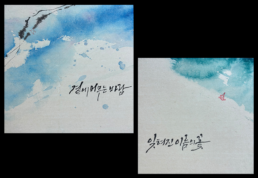 바람이 지나간 자리