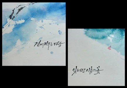 바람이 지나간 자리