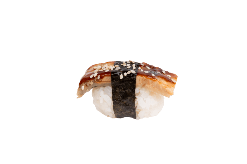 SQUID NIGIRI