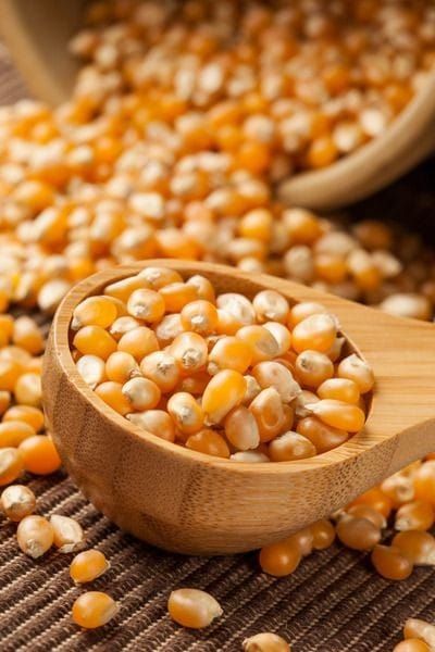 A corn of popcorn