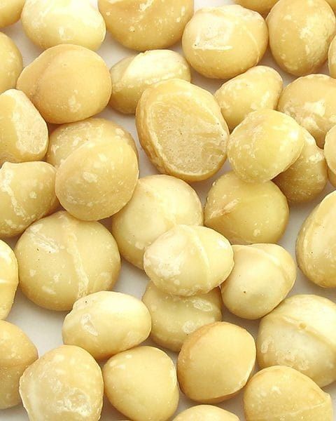 Macadamia