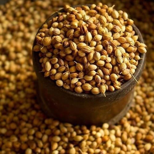 Whole coriander.