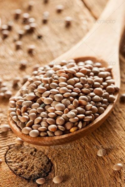 Lentil meal